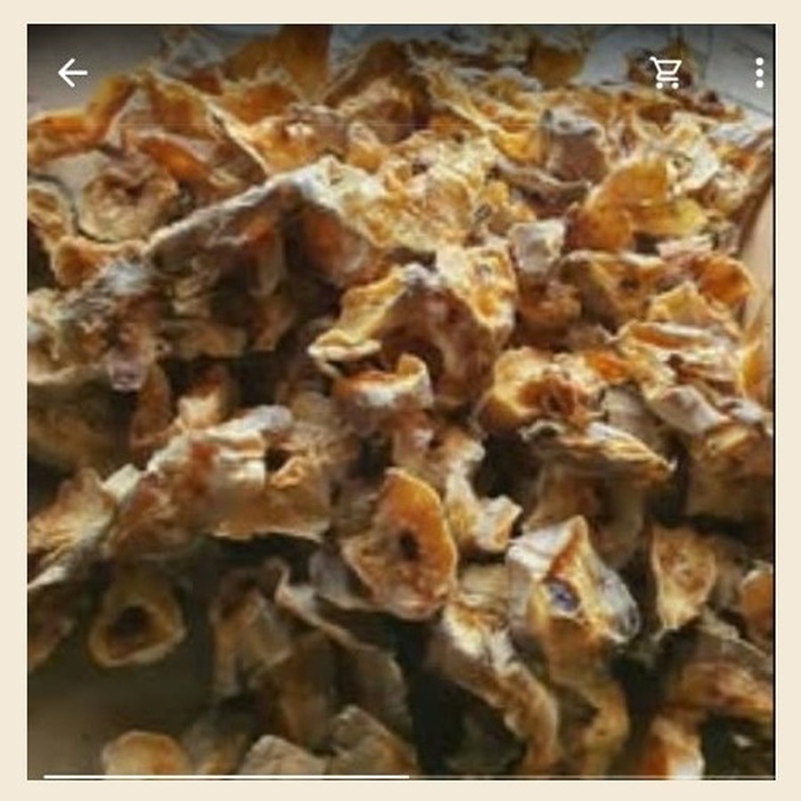 Stockfish