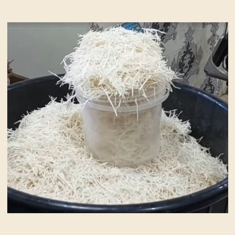 Abacha