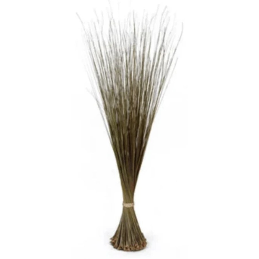 African Broom (Igbale)