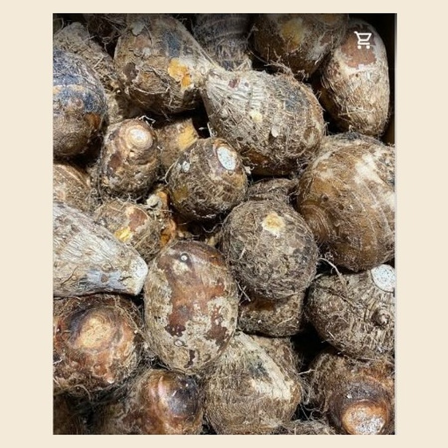 Fresh Cocoyam