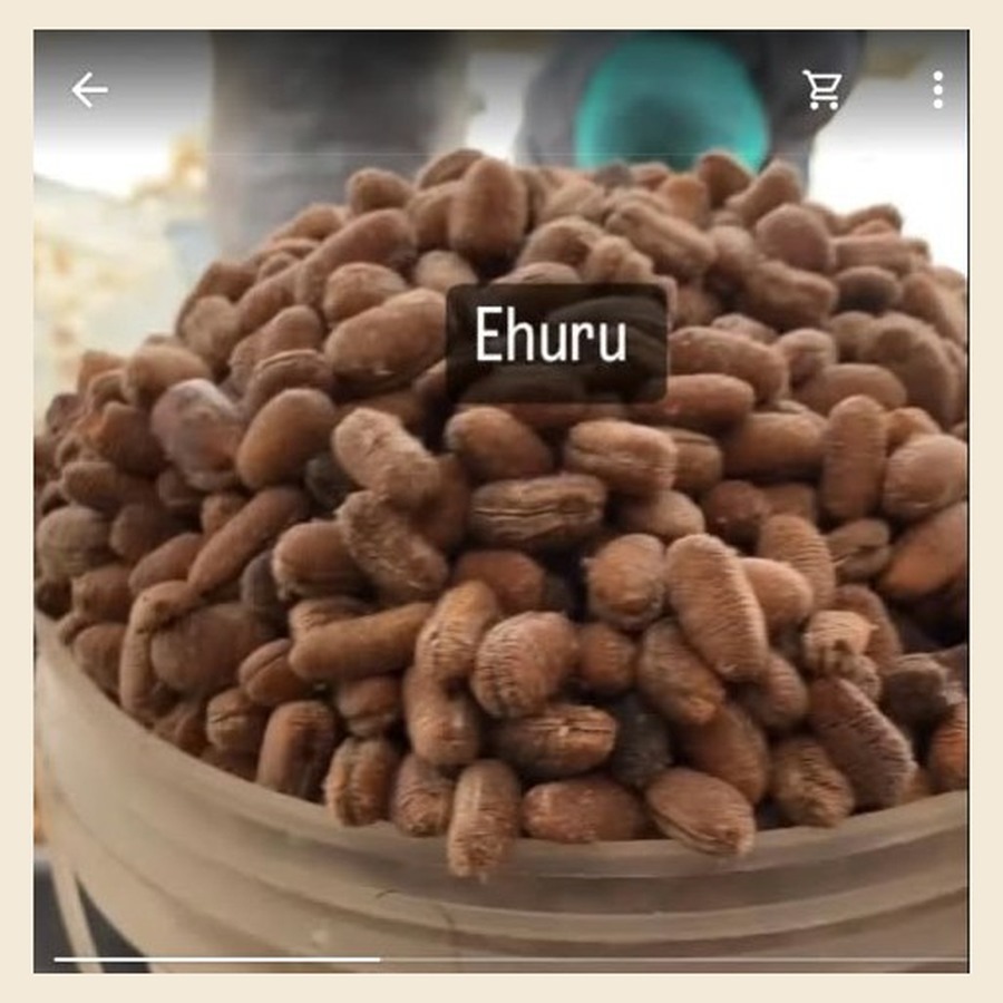 Ehuru / Uda / Banga Stick
