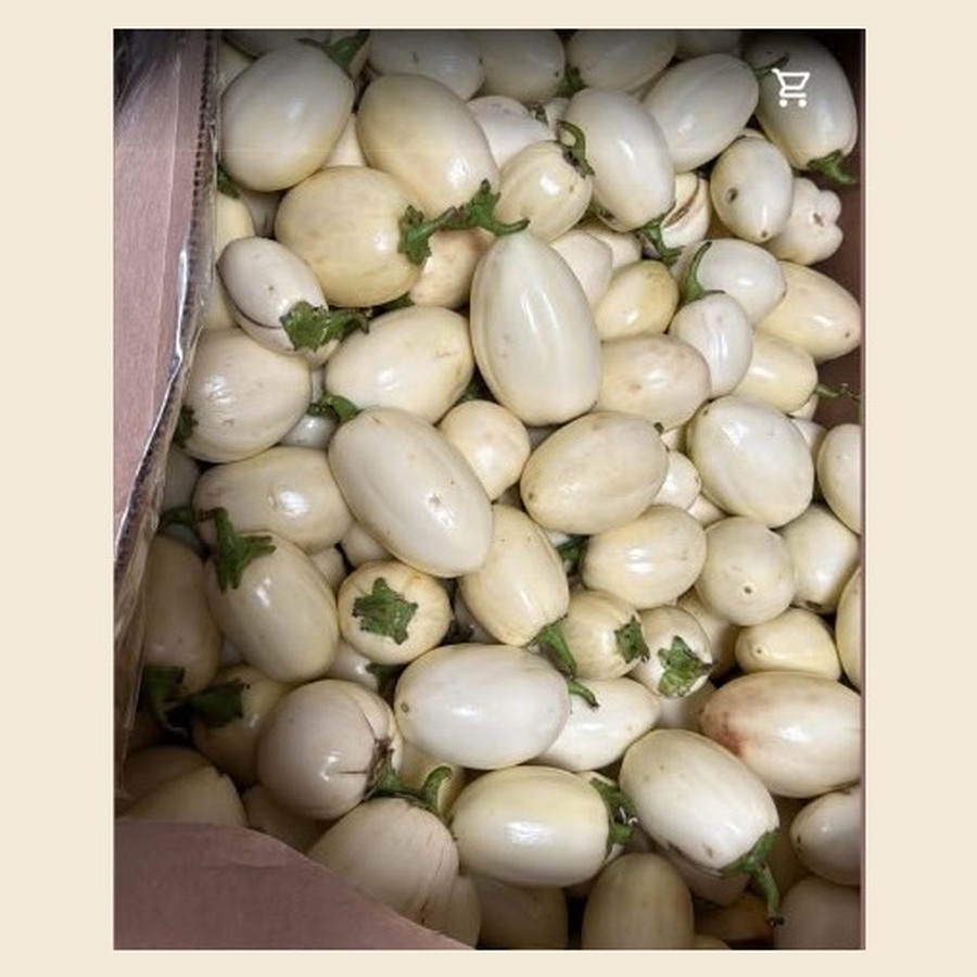Fresh Garden Egg
