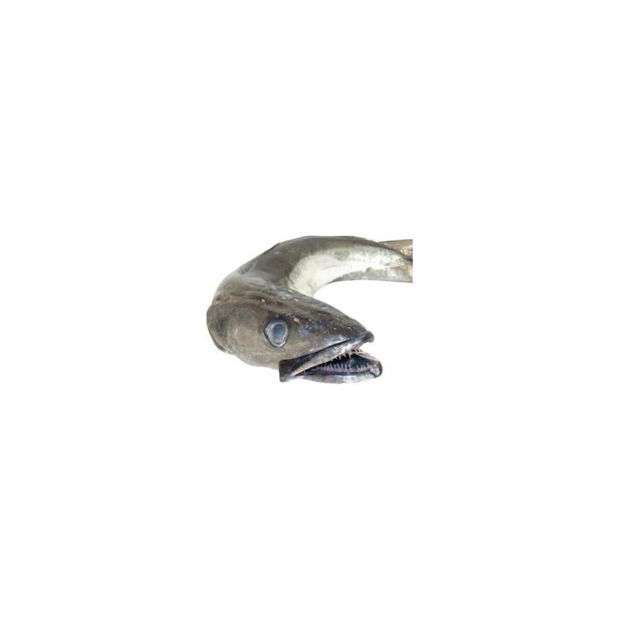 Hake Fish (Whiting Fish / Fresh Stockfish)