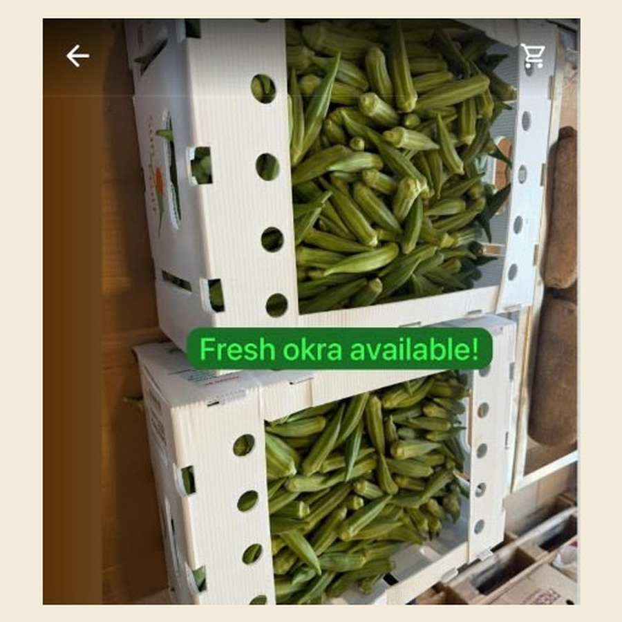 Fresh Okra