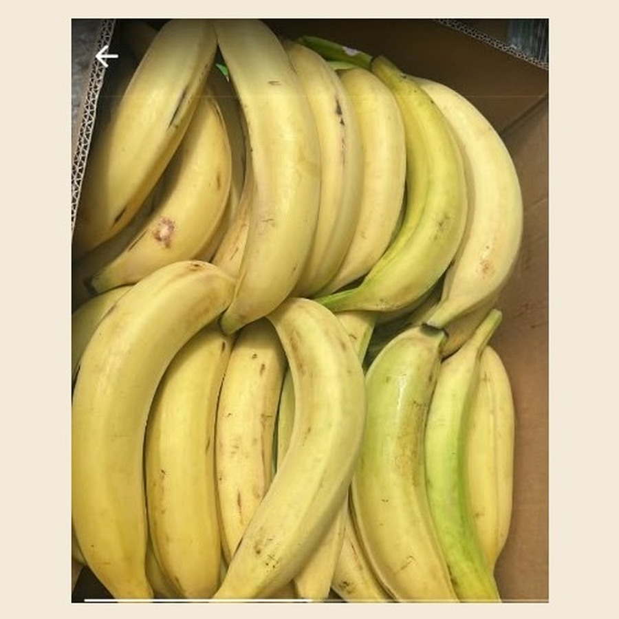 Fresh Plantains