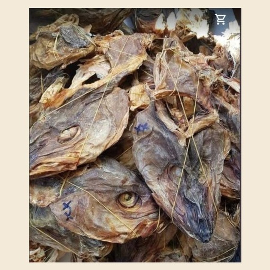 Stockfish Head