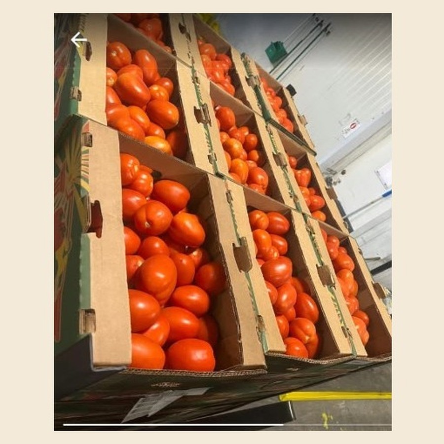 Fresh Tomato