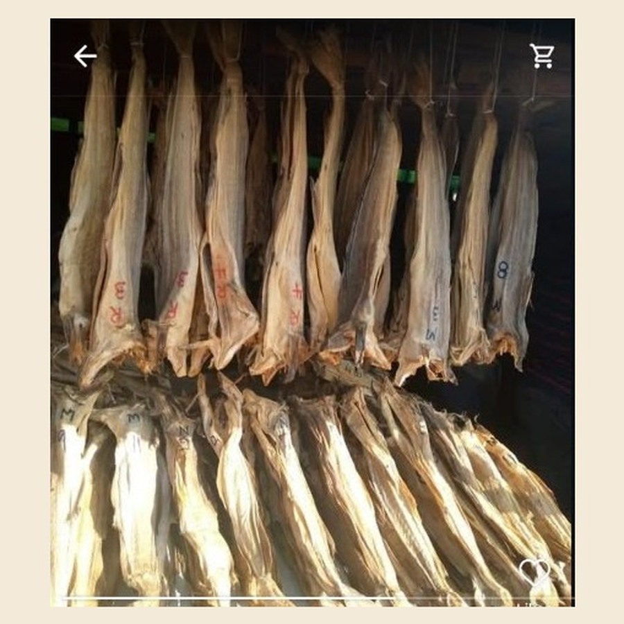 Whole Stockfish